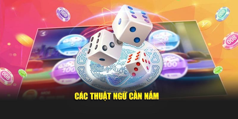 Các thuật ngữ cần nắm