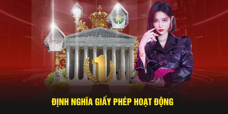 Định nghĩa giấy phép hoạt động