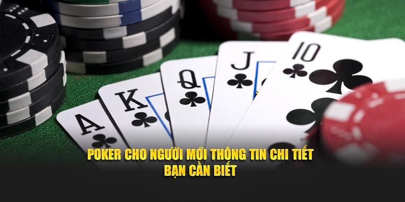 Poker Cho Người Mới