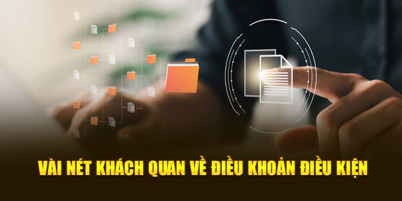 Vài nét khách quan cần biết về điều khoản điều kiện